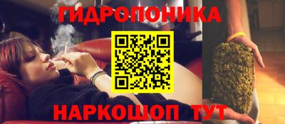 кокс Тара